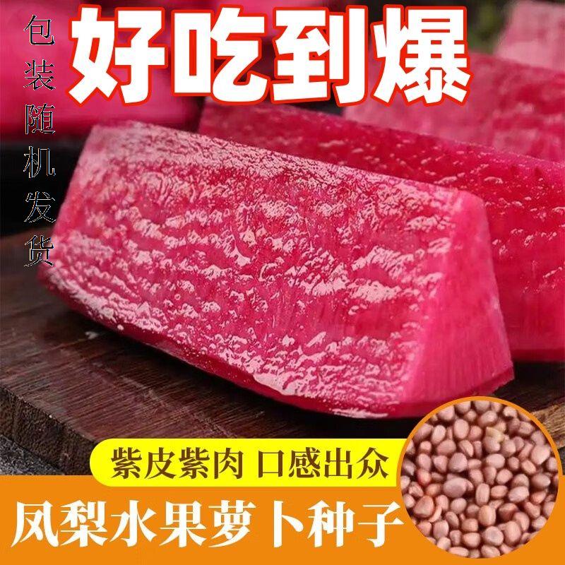 凤梨红心水果萝卜种子红