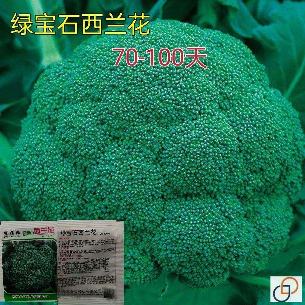 四季播蔬菜种子西兰花种子花青花椰菜种子大面积种植花菜籽,农用物资,蔬菜种子/种苗,淘宝优惠券,粉丝福利购,淘宝优惠卷