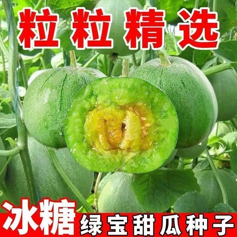 绿宝石甜瓜种子超甜薄皮