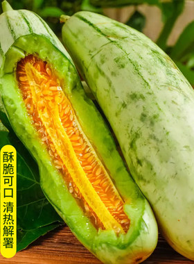 脆甜羊角蜜种子苗超甜四季阳台大田羊角脆香瓜甜瓜种籽冰糖子种