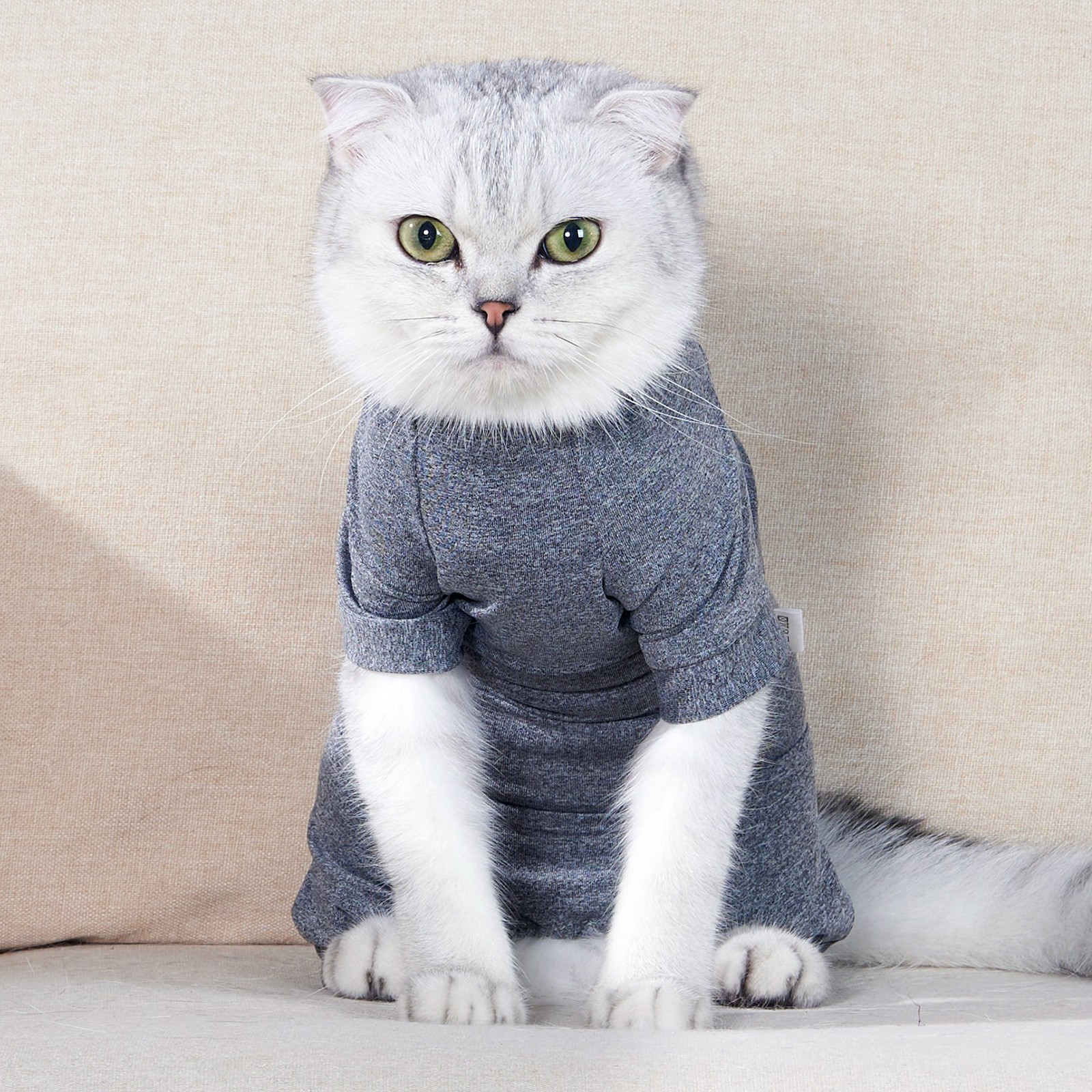 猫咪绝育术后防护服宠物防掉毛衣服耐脏四脚衣绝育服母猫断奶防舔