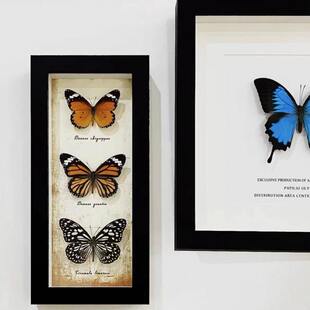 北欧中空长条相框蝴蝶标本手工画框摆台长方形玻璃展示框