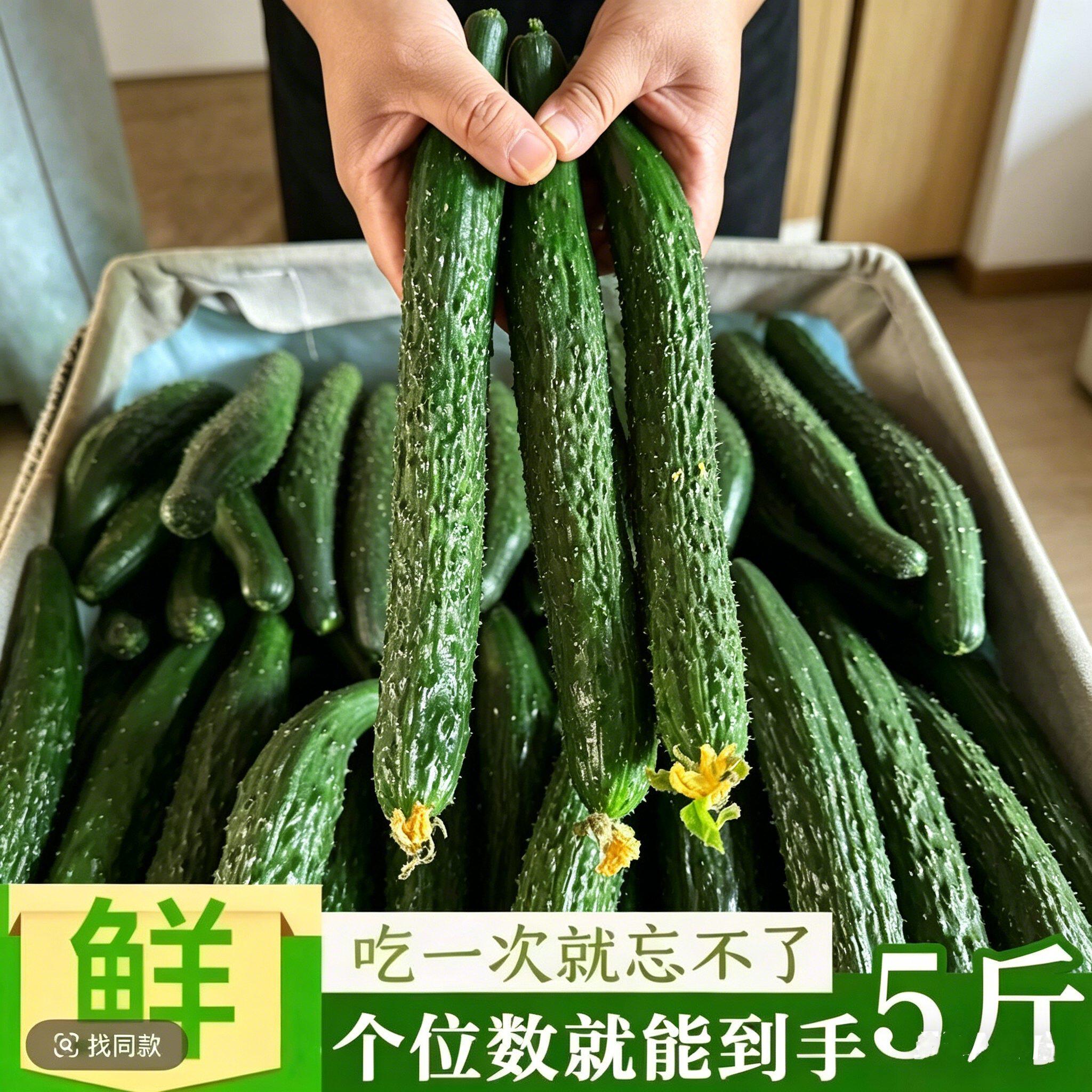 农家现摘新鲜蔬菜黄瓜应季水果黄瓜脆嫩带刺青瓜1斤3斤5包邮