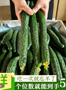 农家现摘新鲜蔬菜黄瓜应季水果黄瓜脆嫩带刺青瓜1斤3斤5包邮