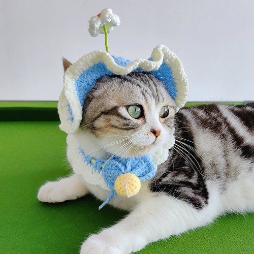 小狗小猫宠物帽子围脖针织套装