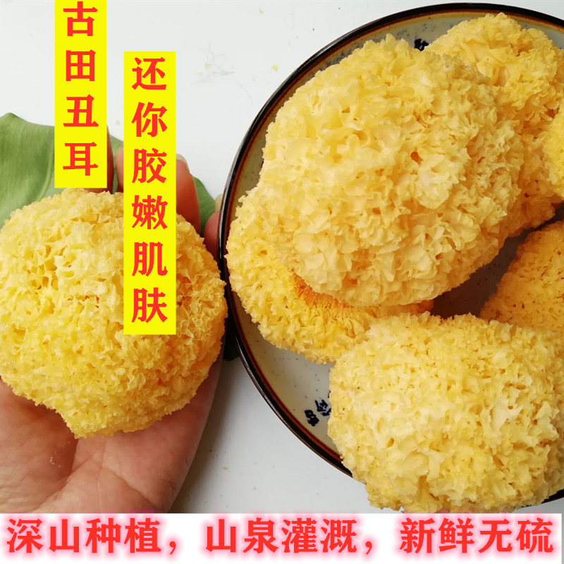 福建古田丑耳干货特级农家散装天然无硫白木耳雪耳新货250g