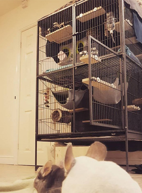 特价 中西MIDWEST雪貂龙猫笼子别墅超大空间蜜袋鼯笼子