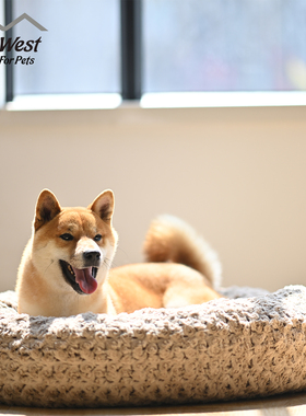 特价 中西Midwest 宠物狗窝垫子小中大型犬睡觉用