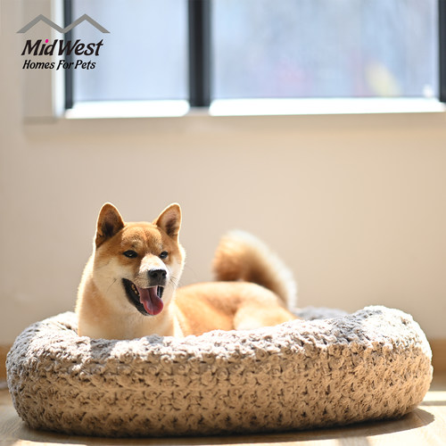 中西midwest宠物睡觉中大型犬