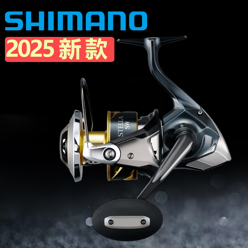 SHIMANO/禧玛诺日本13轴纺车轮