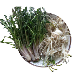 东北婆婆丁野菜蘸酱菜蒲公英野生小根蒜大脑瓜下饭菜2份顺丰包邮