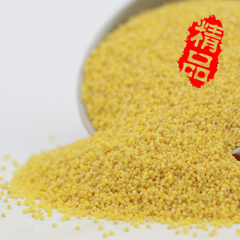 黄小米新米农家自产杂粮内蒙赤峰月子米小米粥养胃五谷杂粮包邮