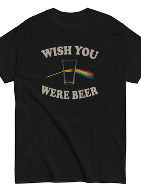 Wish you were beer趣味搞怪印花t恤纯棉宽松男女短袖复古vintage