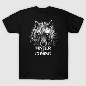 权利的游戏衣服 冰与火之歌T恤 Winter is coming 男女装短袖t恤
