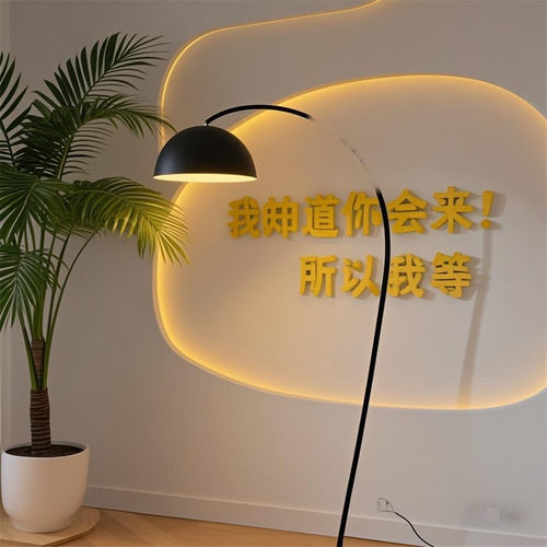 嘉美新款带货娱乐主播3D主播背景布直播间立体网红逼真拍照背景墙