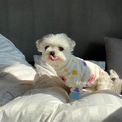 drama秋冬季保暖长袖打底衫