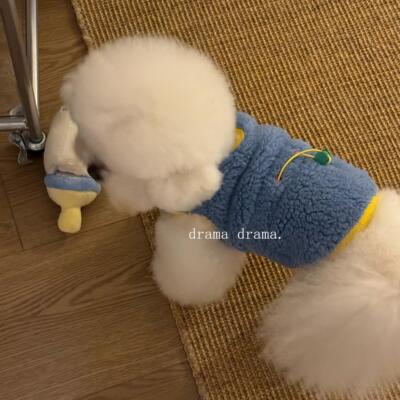 秋冬加绒保暖羊羔绒马甲狗狗猫咪