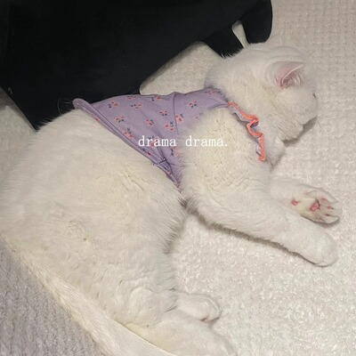 猫咪狗狗春夏季衣服背心马甲吊带