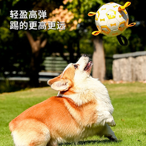 宠物玩具球狗狗户外玩具磨牙耐咬