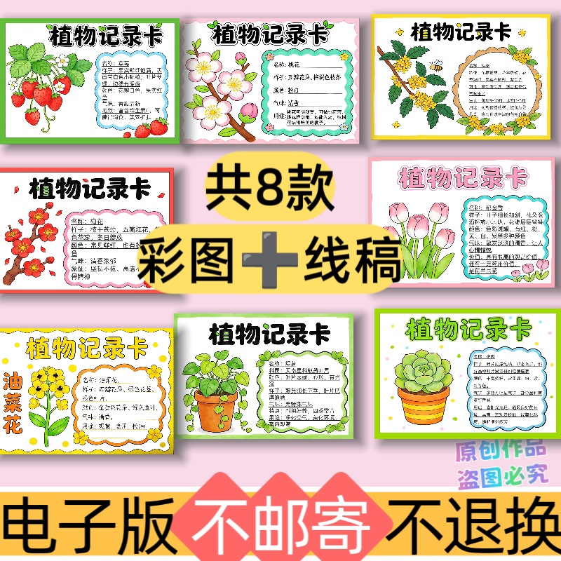 h21植物记录卡创意手抄报模板电子版可打印A3A4黑白线稿三下