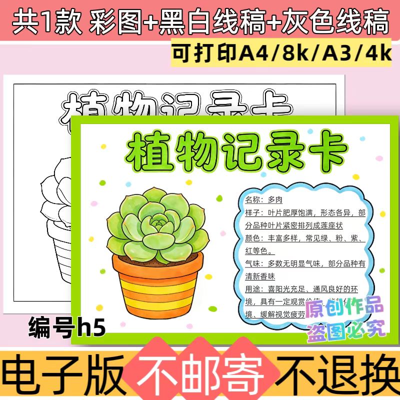 h5多肉植物记录卡手抄报模板小学生植物生长观察日记线稿电子版