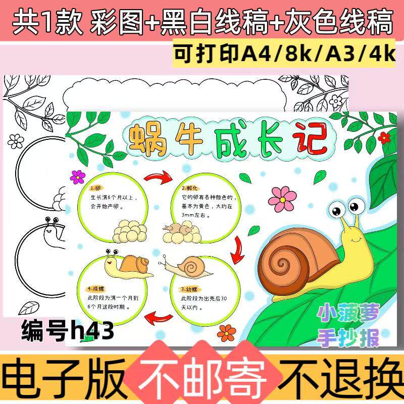 h43蜗牛成长记手抄报电子模板动物观察记录成长过程黑白线稿素材