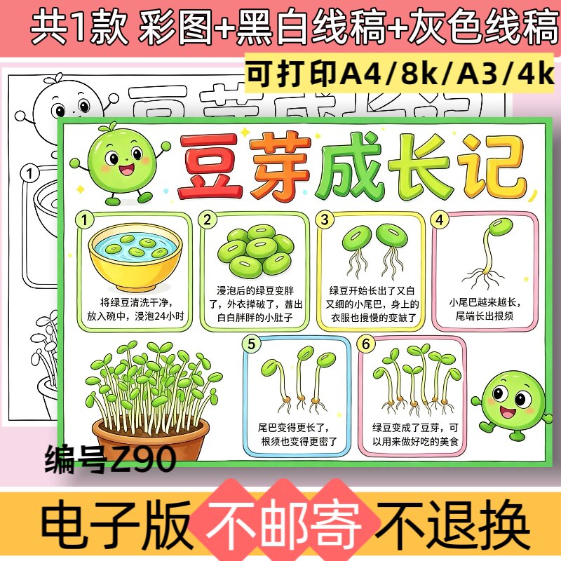 Z90豆芽成长记手抄报电子版模板植物生长观察日记记录表黑白线稿