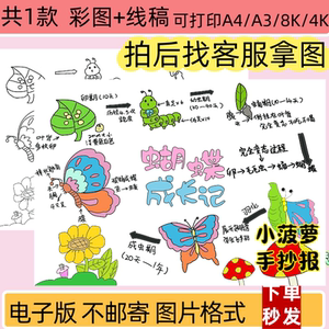 蝴蝶成长记手抄报模板小学生昆虫生长日记动物观察记录表线稿涂色
