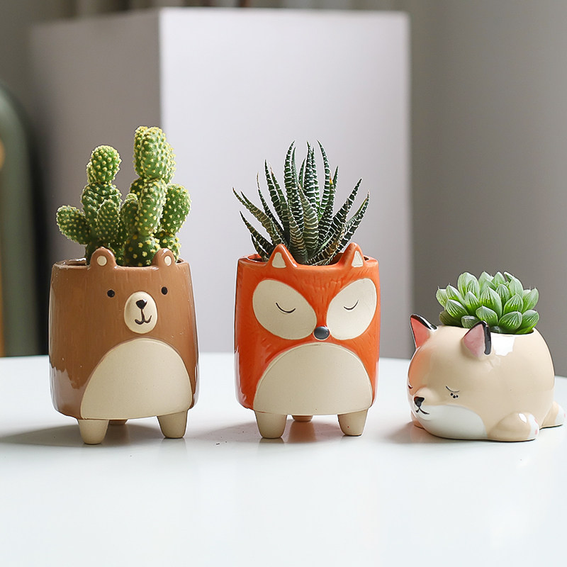 办公室桌面多肉仙人掌球植物室内幼儿园小盆栽工位绿植四季好养活,鲜花速递/花卉仿真/绿植园艺,多肉植物,淘宝优惠券,粉丝福利购,淘宝优惠卷