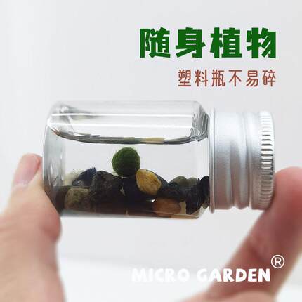 海藻球随身瓶宿舍养的小宠物懒人植物水培迷你生态瓶微景观小礼物