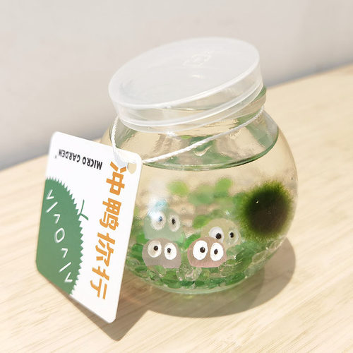 MICROGARDEN生态瓶趣味小礼物