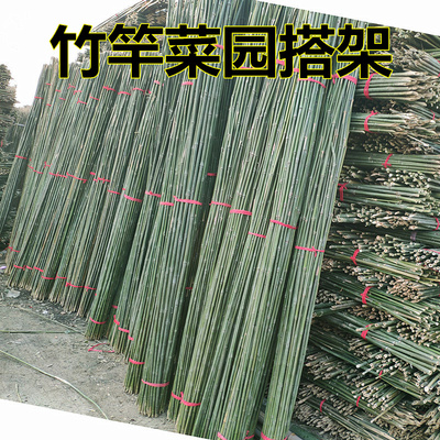 竹竿菜园搭架豆角黄瓜架子