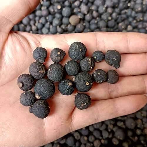 大红袍青皮子红橘自产自销