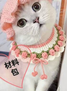 毛线钩针材料包可爱diy宠物围脖帽子一套手工钩织编织猫咪项圈