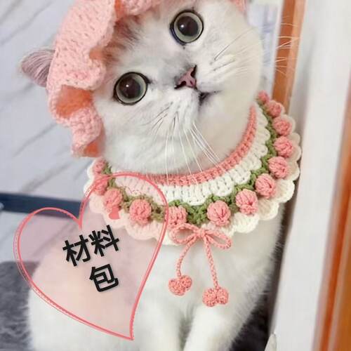 毛线钩针材料包可爱diy宠物围脖帽子一套手工钩织编织猫咪项圈