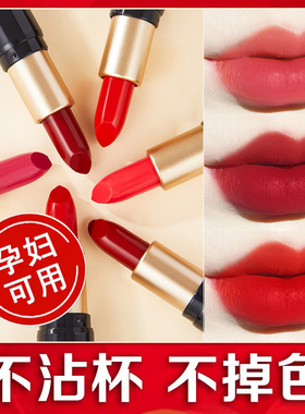 滋润口红女小众品牌奶茶色豆沙色红棕色平价学生素颜显白正红色