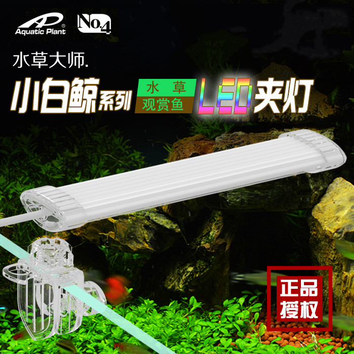 台湾水草大师水草惠弘虾观赏鱼