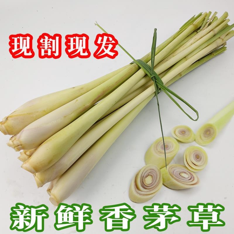 新鲜香茅草 香料柠檬香茅 泰国冬阴功汤料原料泰式料理奶茶店调料