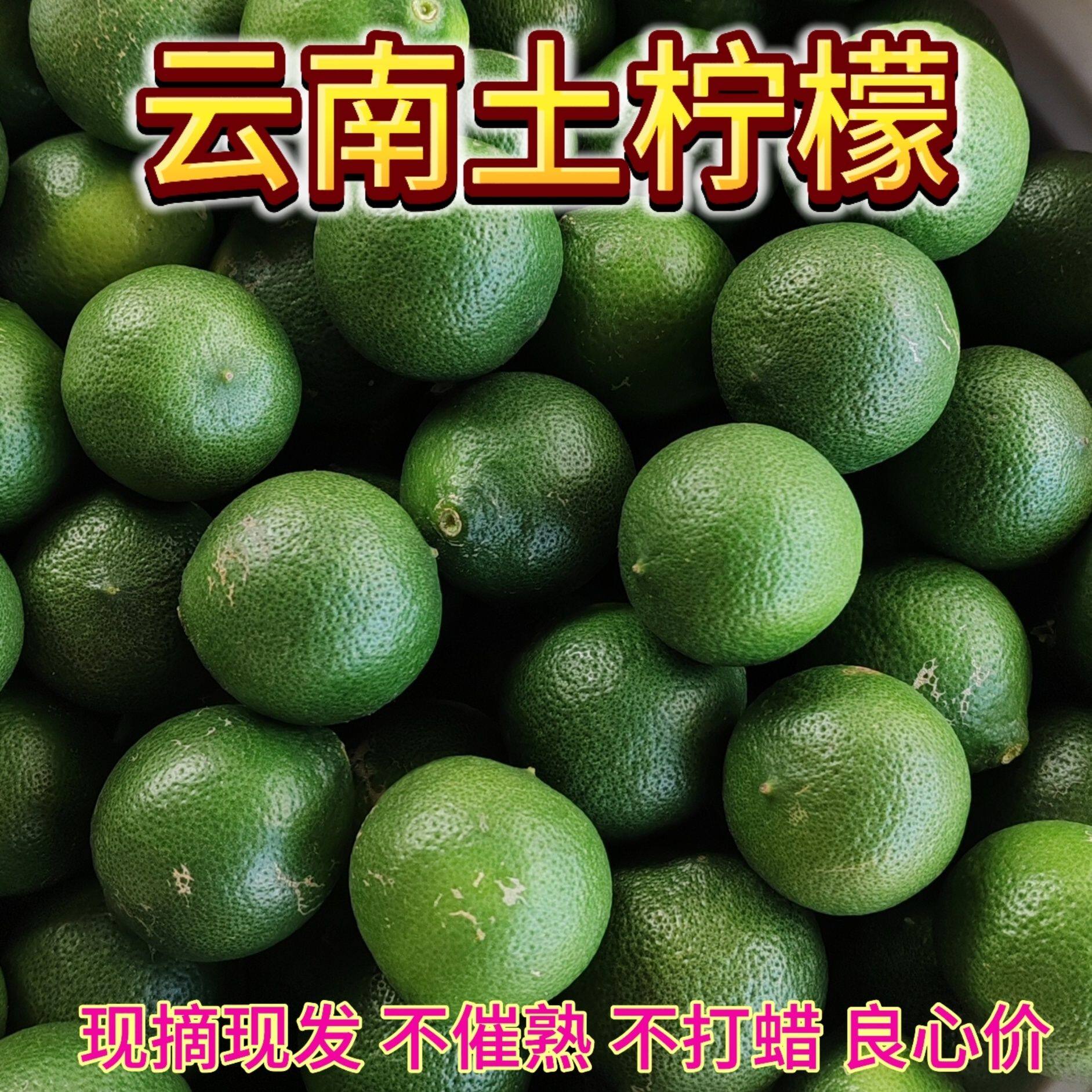 云南新鲜柠檬 云南土柠檬 云南德宏青柠檬，老品种缅甸小青柠檬