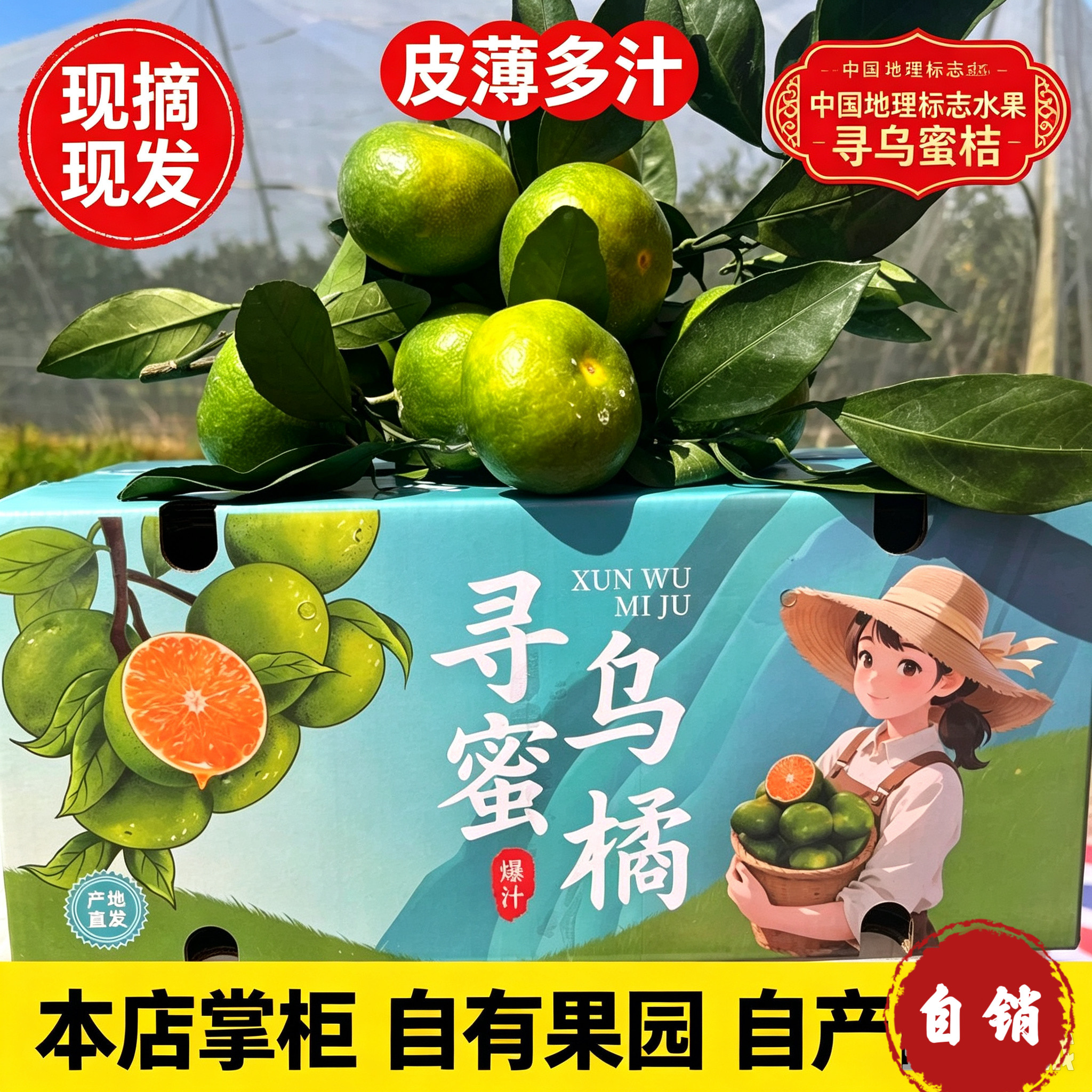 江西正宗寻乌蜜桔新鲜水果皮薄多汁赣州特产现摘现发当季大果包邮