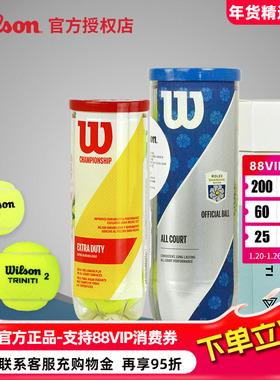 Wilson威尔胜网球Triniti全场地专业比赛环保纸桶上海大师赛用球