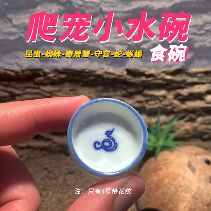 爬虫食水盆迷你食盆睫角守宫喂食果泥盆蜥蜴蜘蛛蝎子昆虫爬宠玻璃