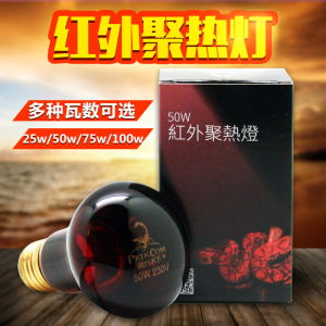 爬行天下 红外线夜间加热灯加温灯陆龟夜灯蜥蜴夜灯买二包邮