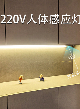 人体感应灯220v接线双排LED直角灯带玄关鞋柜镜柜衣柜开门即亮灯