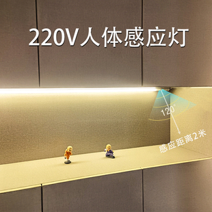 人体感应灯220v接线双排LED直角灯带玄关鞋 柜镜柜衣柜开门即亮灯