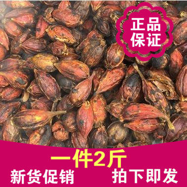 炒栀子果仁红栀子栀子枝子 炒栀子枝子果栀子花茶山栀仁天然无硫