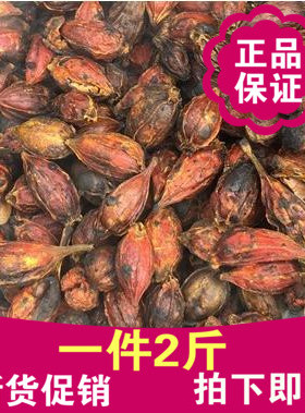 炒栀子果仁红栀子栀子枝子 炒栀子枝子果栀子花茶山栀仁天然无硫