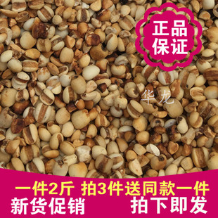 麸炒小薏米新米小仁薏米炒薏苡仁薏仁米茶粉中药材优质麸炒薏米粉