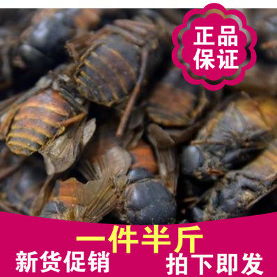 牛蚊子硭虫/牛虻虫/芒虫/忙虫 牤虫中药材正品 250克包邮免费打粉
