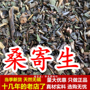 桑寄生中药材桑计生野生非槲寄生叶泡水泡茶无硫天然新货另收杜仲